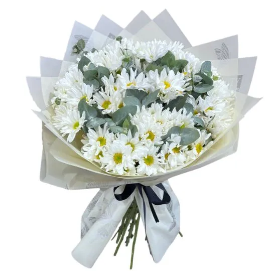 Ramo de flores margaritas blancas